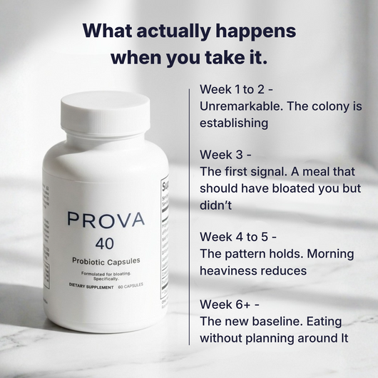 Prova 40 Probiotic Capsules