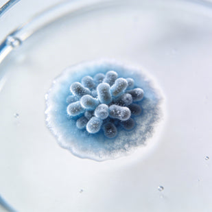 The Sustaining Prebiotic
